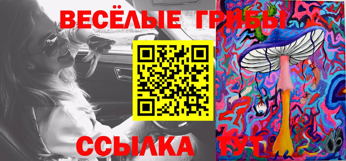Вятские Поляны  Псилоцибиновые грибы мухоморы  Вход с VPN 